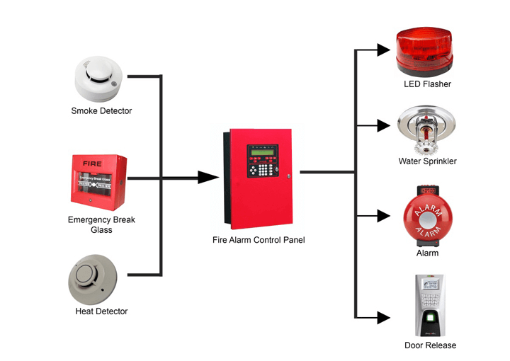 Detector and Alarm System